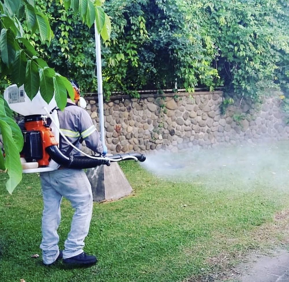 Fumigación de jardín residencial